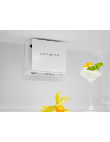 Electrolux SC310 - DynamicAir