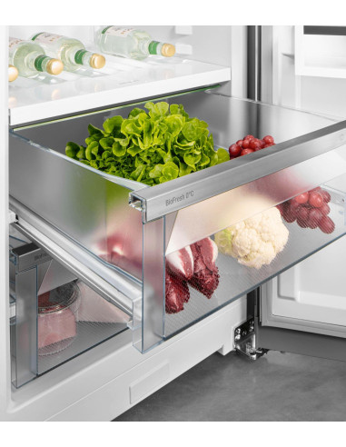 Liebherr RBsfd 5221 PLUS BioFresh BluPerformance