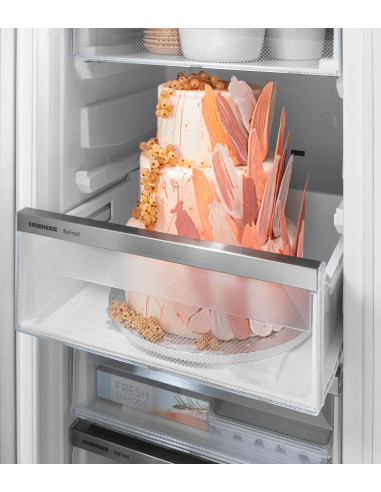 Liebherr FNe 4605 PURE NoFrost BluPerformance - VarioBox