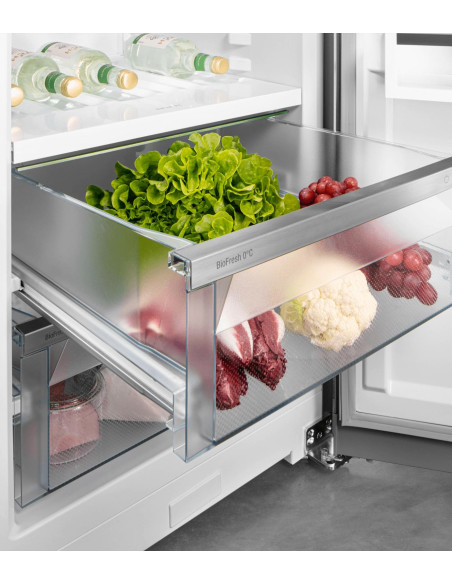 Liebherr RBc 5220 PLUS BioFresh BluPerformance