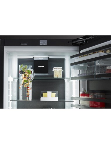 Liebherr IRBbsbi 4170 PEAK BioFresh